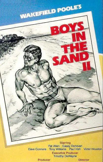 《沙滩上的男孩2》