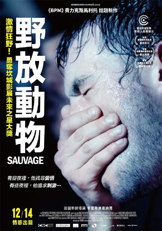 《野性》豆瓣评分：7.1分