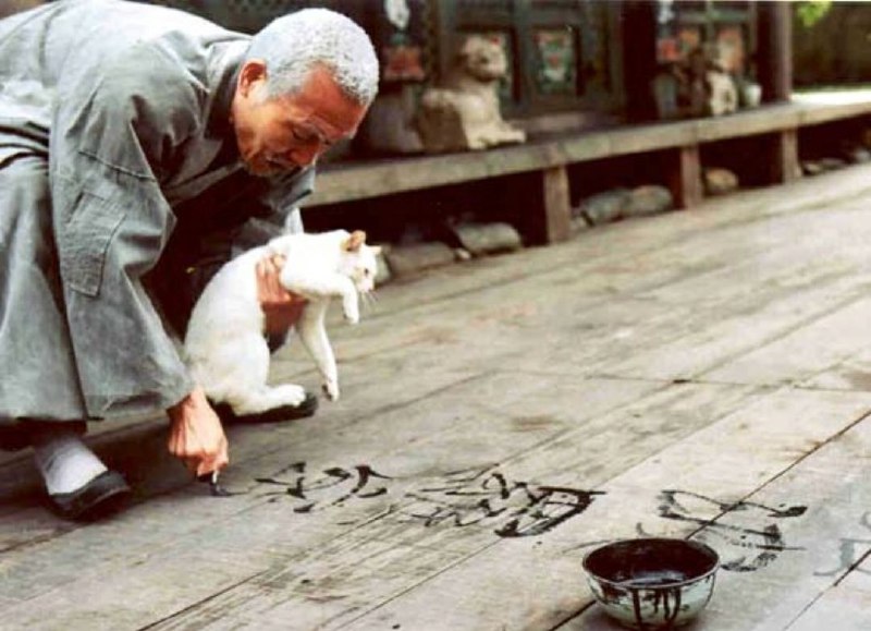 #影讯 #北京电影节“致敬影人”部分，3部最新4K修复的作品对应了三位杰出影人