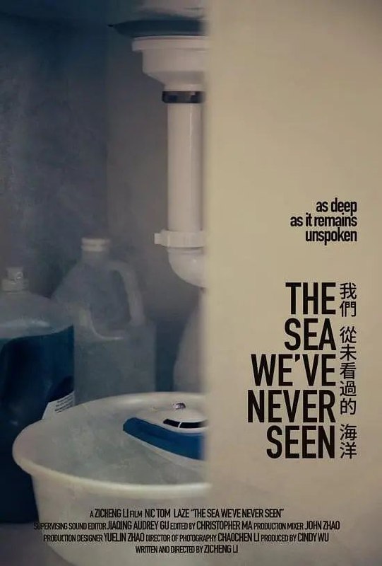 《我们从未看过海洋》