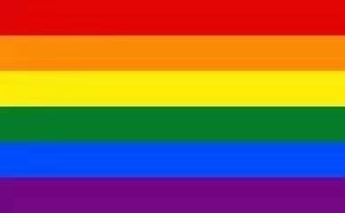 .5.17不在恐同日.