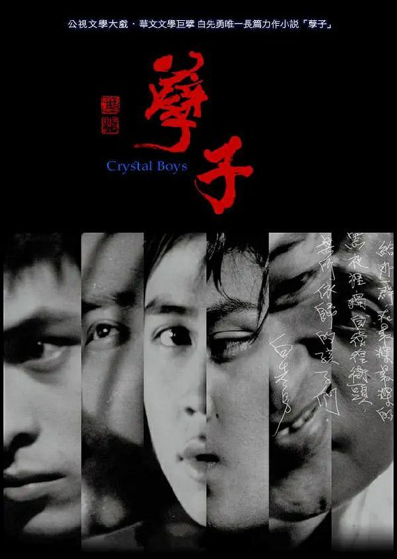 《孽子》豆瓣评分