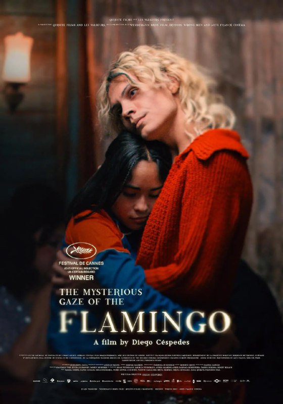 #弗拉明戈的神秘眼神 La misteriosa mirada del flamenco (2025)导演: #迭戈·塞斯佩德斯编剧: #迭戈·塞斯佩德斯主演: Tamara Cortes / #马迪亚斯·卡塔兰 / Paula Dinamarca / Pedro Muñoz / #路易斯·杜博类型: #剧情 / #同性制片国家/地区: #法国 / #智利 / #德国 / #西班牙 / #比利时语言: 西班牙语上映日期: 2025-05-15(戛纳电影节) / 2026-01-07(法国)片长: 109分钟又名: 弗拉明戈的神秘眼神 La misteriosa mirada del flamenco (2025) / The Mysterious Gaze of the Flamingo / Le mystérieux regard du flamand rose / 粉红火鹤的神秘凝视(台)IMDb: tt22237964#豆瓣7.6IMDb评分： 6.8剧情简介： 他们说，只要与酒馆里的酷儿对到眼，就会染上瘟疫