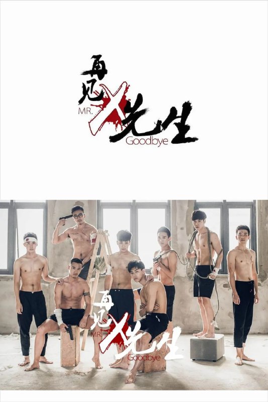 《再见x先生》豆瓣评分：5.0分
