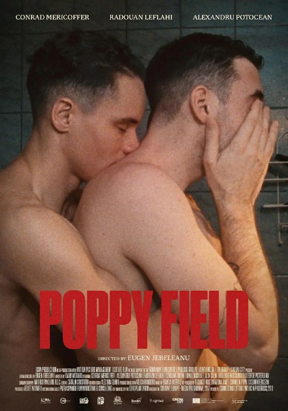 《罂粟花田》豆瓣评分