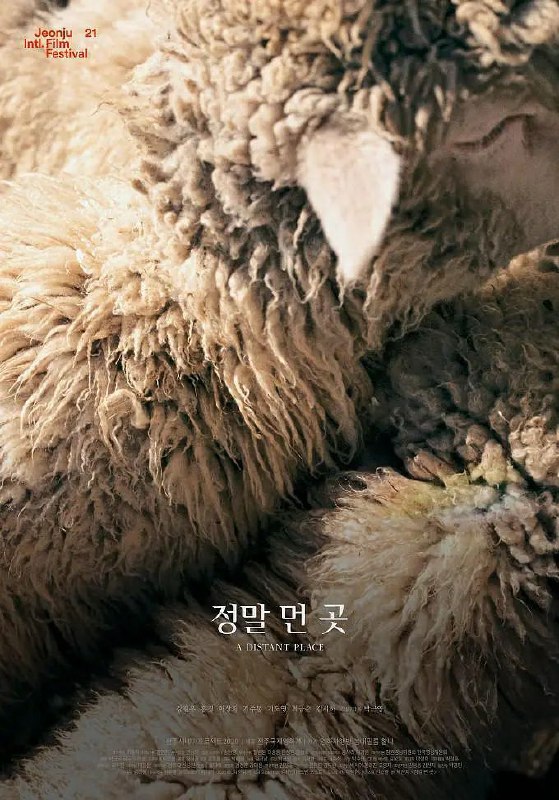 《远方》豆瓣评分：7.0分