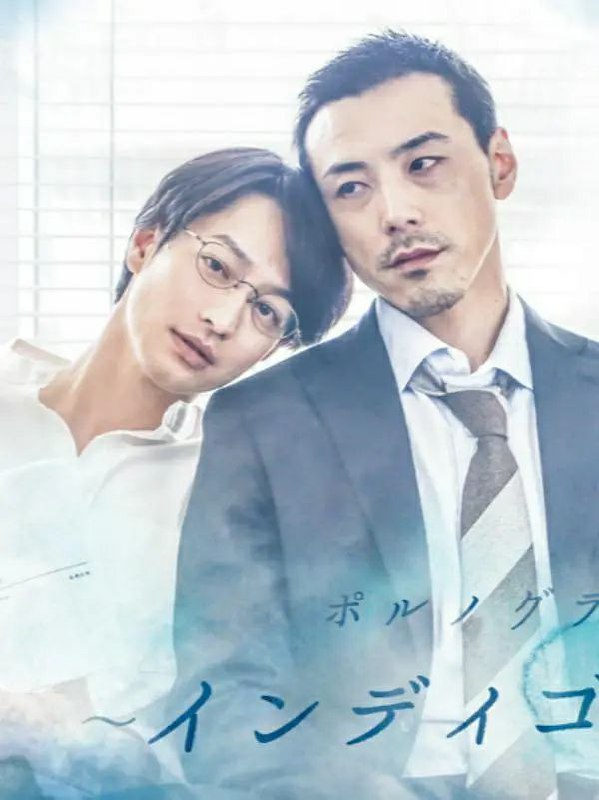《靛蓝色的心情》(靛蓝的追忆)豆瓣评分：8.7分