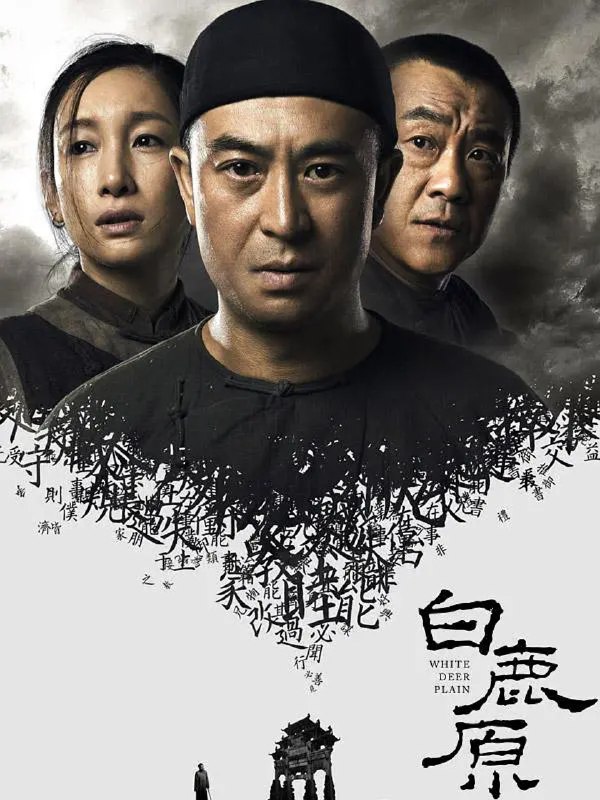 《白鹿原》豆瓣评分: 8.8分
