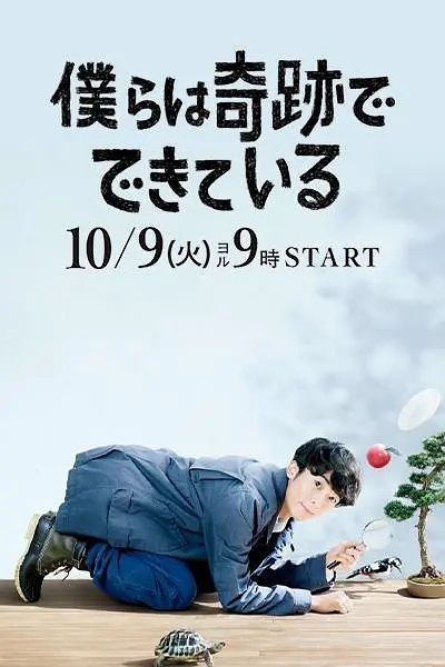 《我们由奇迹构成》豆瓣评分：8.9分